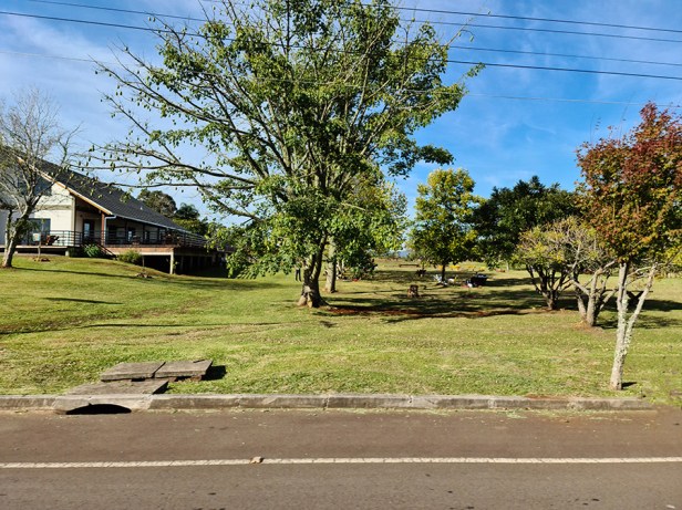 Caminho dos Manacás